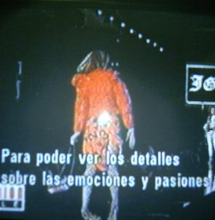 IMAG0061.JPG