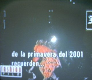 IMAG0062.JPG
