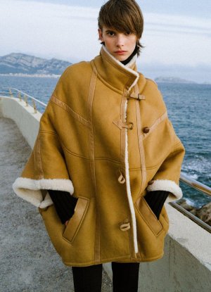 IMG_0222.jpeg IMG_0222.jpeg