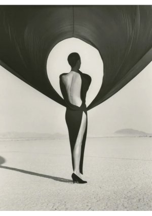 edwynnhoukgallery-herb-ritts-christy-turlington-versace-el-mirage-1990.webp.jpg