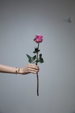 IMG_1713.jpeg