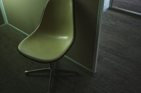 2468674-800w.jpg