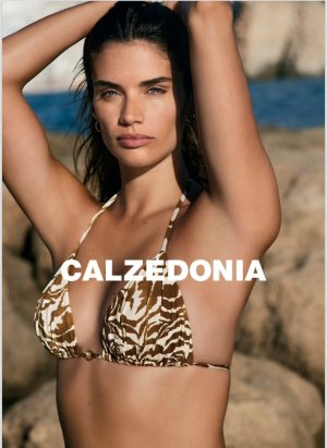 Screenshot_20250529_104051_M365 Copilot.jpg