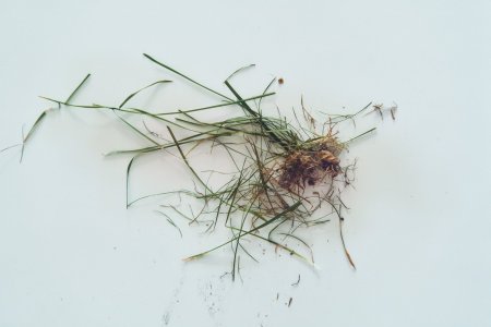 IMG_1067.jpeg
