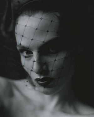2549303-800w.jpg