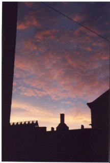 Rooftop_evening_view.jpg