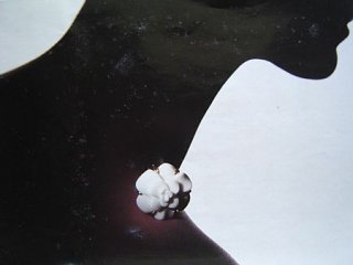 508659_1.jpg