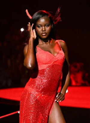 adut-akech-victorias-secret-fashion-show-2025-v0-1tox5qqflgvf1.webp