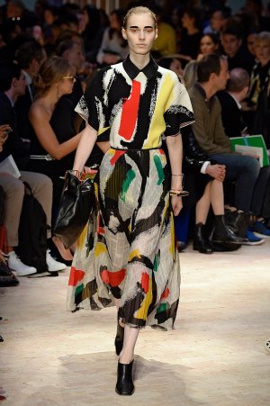 celine-best-moments-spring-2014-1513970975.jpeg