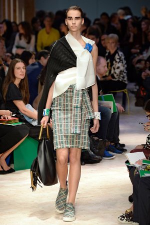 celine-best-moments-spring-2014-1513970976.jpeg