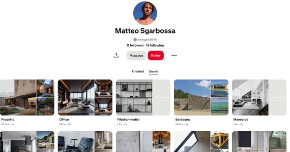 mr ceo pinterest .jpg