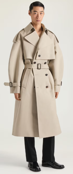 1763380255576.png 1763380255576.png