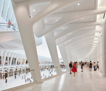 1764714372649.png 1764714372649.png