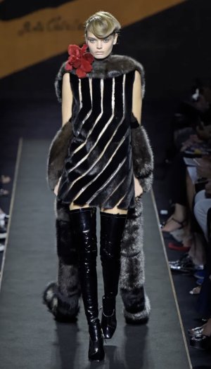 IMG_6928.jpeg IMG_6928.jpeg