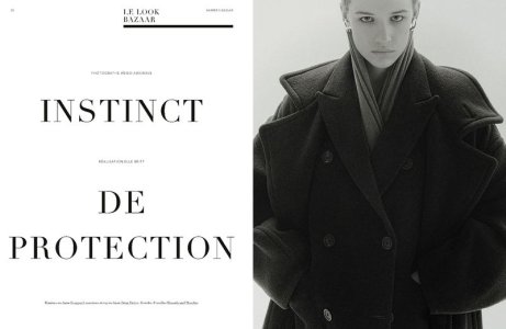 2652622-800w.jpg 2652622-800w.jpg