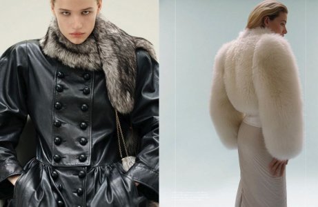 2652623-800w.jpg 2652623-800w.jpg