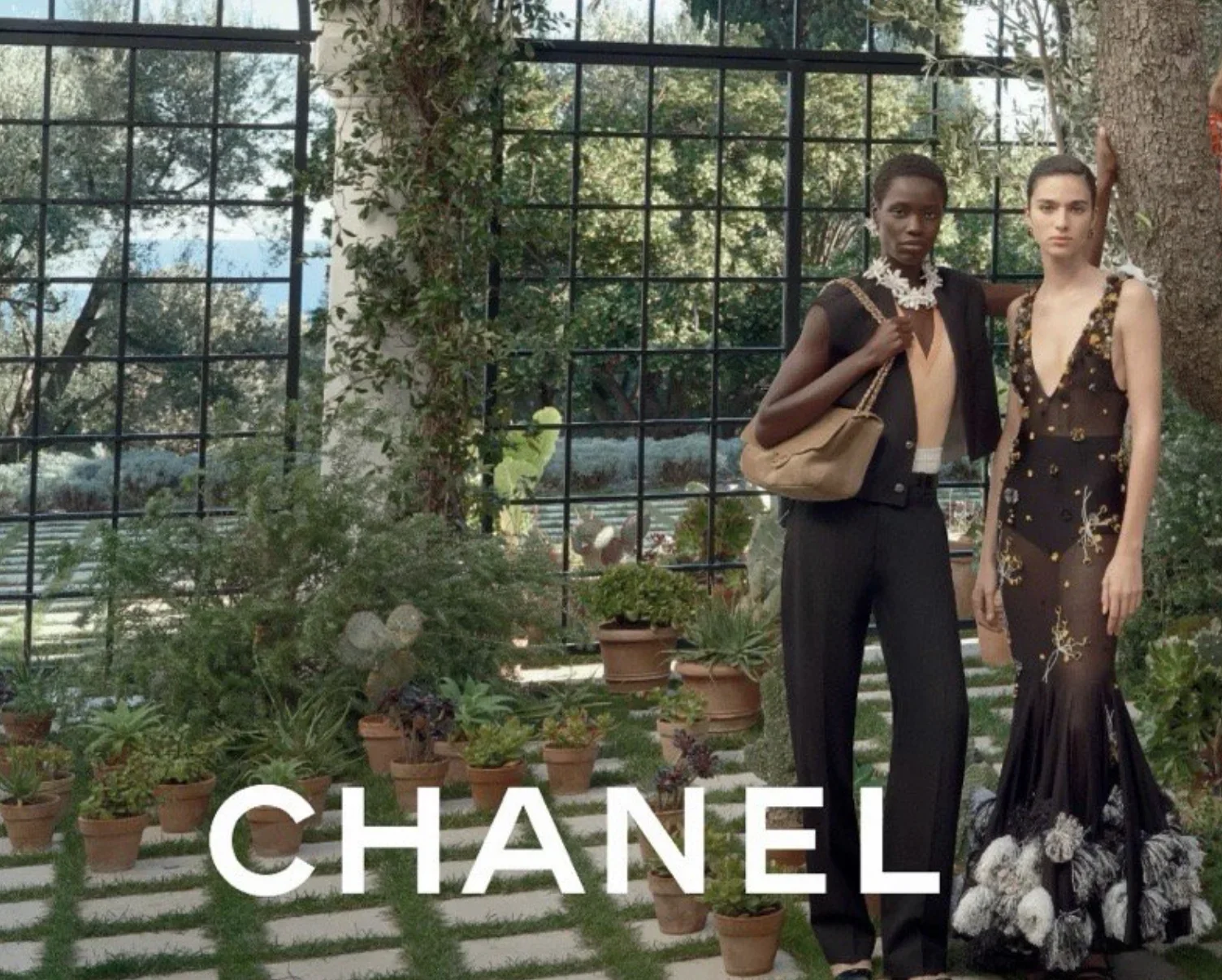 スクリーンショット 2026-01-20 10.15.48.webp