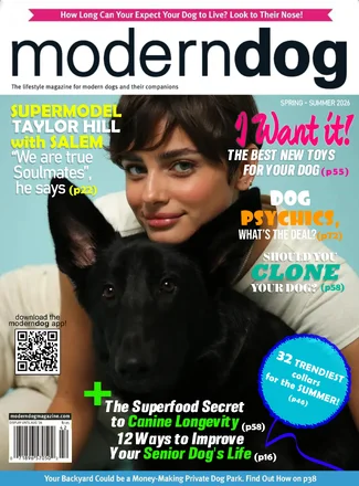 moderndog copy.webp