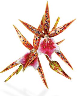 Paulding Farnham  orchid broach.jpg