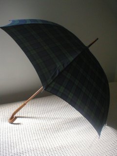 BROLLY sm.jpg