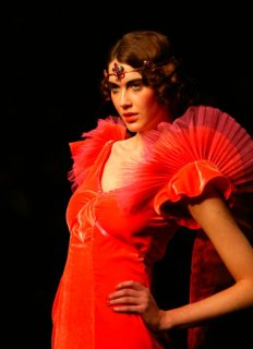 stella cadente aw05-06.jpg