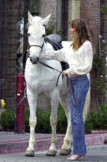 showcasepix153877.jpg