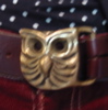 owl.JPG