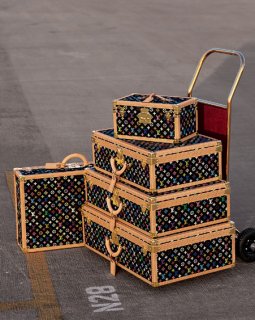 murakami_hard_luggage.jpg