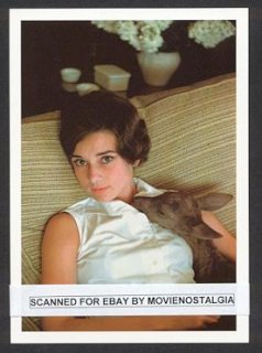 Hepburn4 (ebay).jpg