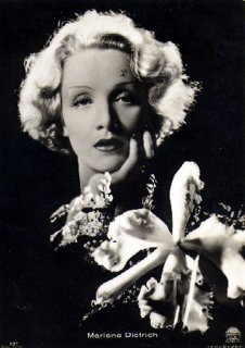 marlene5.jpg
