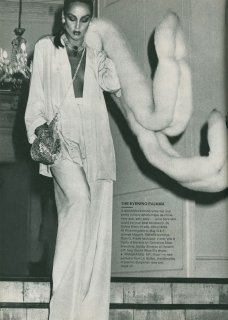 american_bazaar_december_1975__jerry_hall__rico_puhlman__10sm.jpg