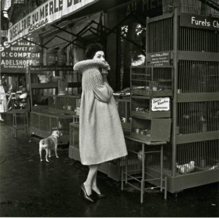 maywald 1958 pierre cardin manteau habillé fb.jpg