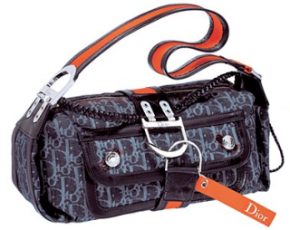 bag1.PNG