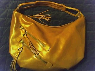 Ferragamo hobo flat.jpg