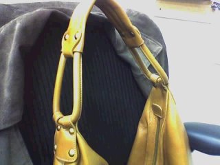 Ferragamo hobo handle.jpg