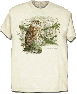 spottedowl.gif