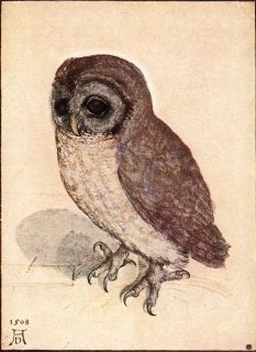 06l_owl.jpg