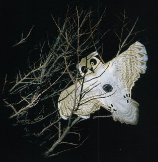 Untitled-Scanned-03.jpg