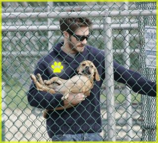 jake-gyllenhaal-puggle00.jpg