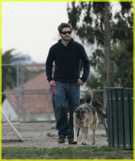 jake-gyllenhaal-puggle01.jpg