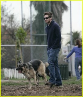 jake-gyllenhaal-puggle06.jpg
