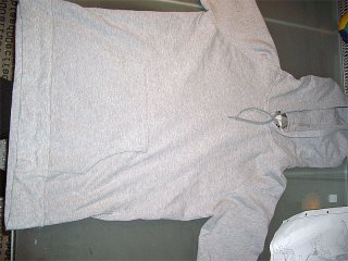 sh*tty dior hoodie.jpg