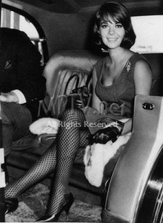 in limo wearing stockings.jpg