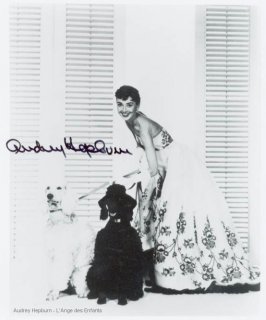 audreyhepburn-ah876.jpg
