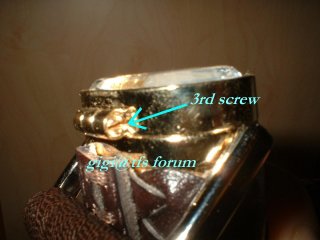 Spy Hinge Screw 3.JPG