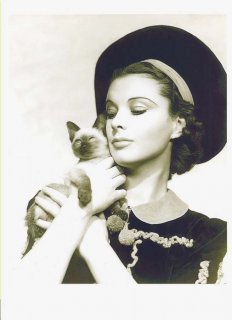 LEIGHKITTYKAT.jpg