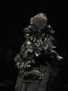 undercoverfeathers_1.jpg