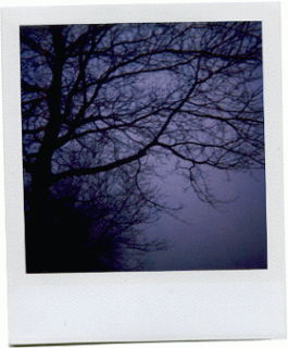 FEB01-2006.gif