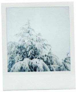 MAR03.jpg