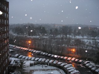 IMG_1775.JPG